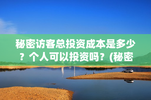 秘密访客总投资成本是多少？个人可以投资吗？(秘密访客总投资多少钱)