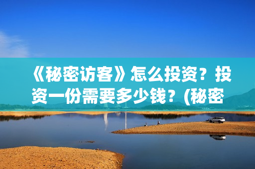 《秘密访客》怎么投资？投资一份需要多少钱？(秘密访客在讲啥)