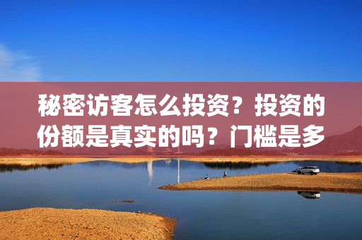 秘密访客怎么投资？投资的份额是真实的吗？门槛是多少？(秘密访客访客)