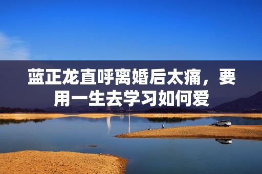 蓝正龙直呼离婚后太痛，要用一生去学习如何爱