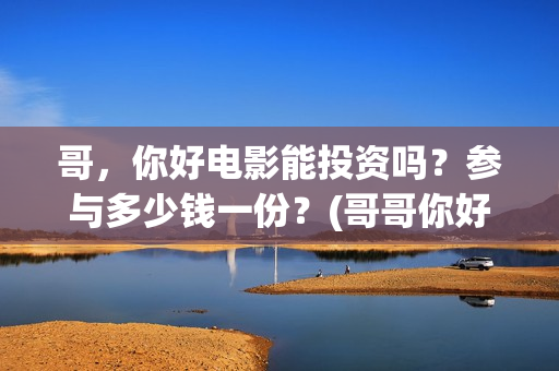 哥，你好电影能投资吗？参与多少钱一份？(哥哥你好语音)