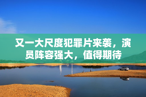 又一大尺度犯罪片来袭，演员阵容强大，值得期待