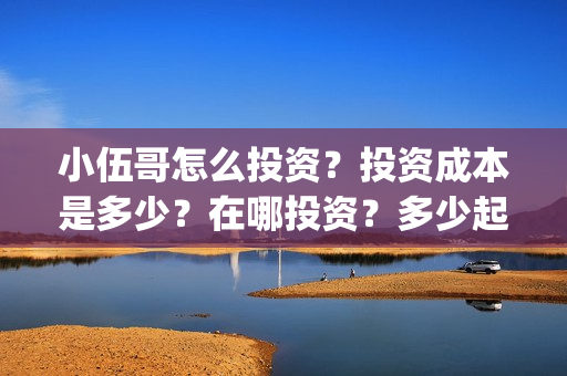 小伍哥怎么投资？投资成本是多少？在哪投资？多少起投？(小伍哥个人资料)