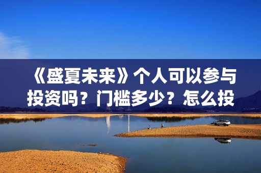 《盛夏未来》个人可以参与投资吗？门槛多少？怎么投资？(盛夏未来哦)