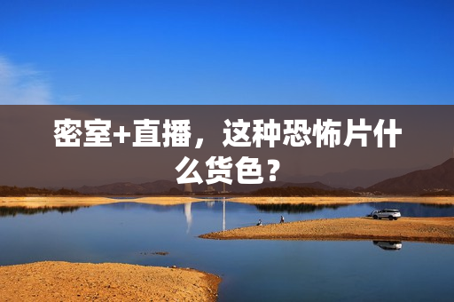 密室+直播，这种恐怖片什么货色？