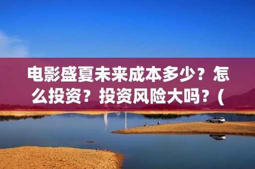 电影盛夏未来成本多少？怎么投资？投资风险大吗？(电影盛夏未来改编小说)