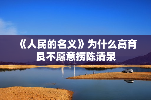 《人民的名义》为什么高育良不愿意捞陈清泉