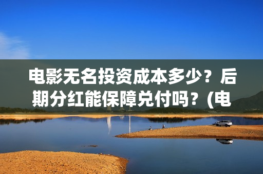 电影无名投资成本多少？后期分红能保障兑付吗？(电影《无名》)