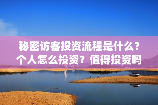 秘密访客投资流程是什么？个人怎么投资？值得投资吗？(秘密访客投资流程图)