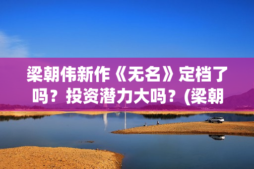 梁朝伟新作《无名》定档了吗？投资潜力大吗？(梁朝伟参演无名)