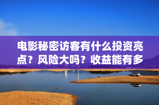 电影秘密访客有什么投资亮点？风险大吗？收益能有多少？(电影秘密访客是恐怖片吗)