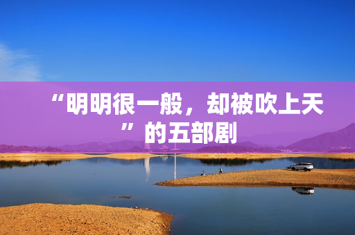 “明明很一般，却被吹上天”的五部剧