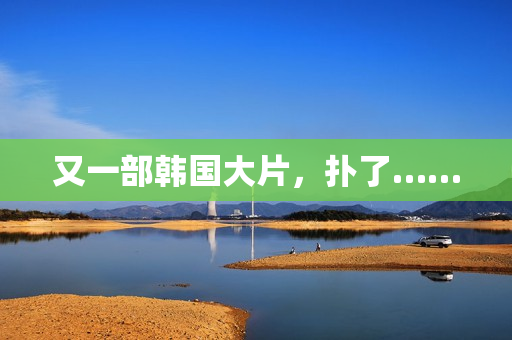 又一部韩国大片，扑了……