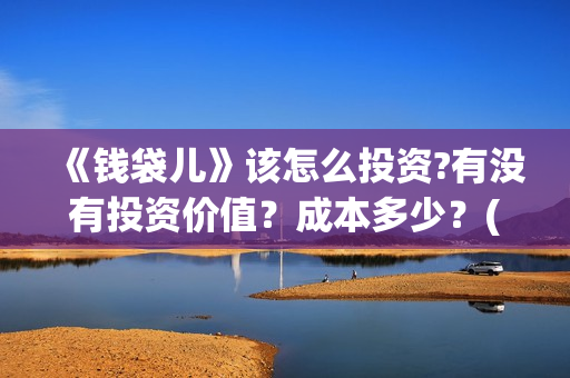 《钱袋儿》该怎么投资?有没有投资价值？成本多少？(钱袋子app是什么)