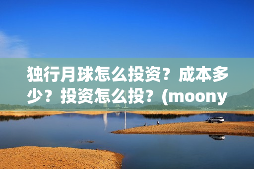 独行月球怎么投资？成本多少？投资怎么投？(moonyou-独行月球)