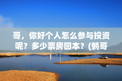 哥，你好个人怎么参与投资呢？多少票房回本？(鹩哥你好mp3)