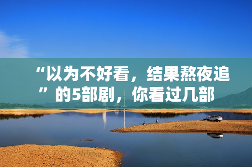 “以为不好看，结果熬夜追”的5部剧，你看过几部