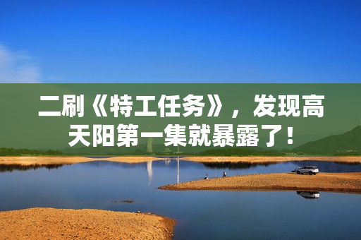 二刷《特工任务》，发现高天阳第一集就暴露了！