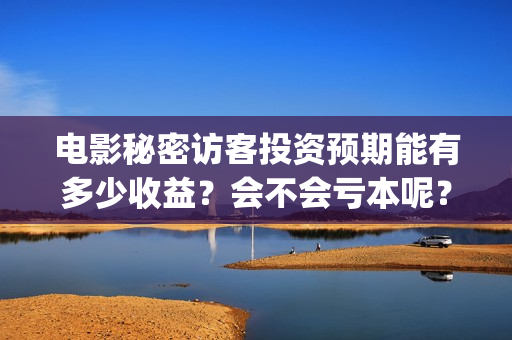 电影秘密访客投资预期能有多少收益？会不会亏本呢？(秘密访客电影投资效果价目表)