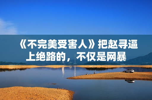 《不完美受害人》把赵寻逼上绝路的，不仅是网暴