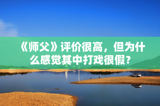《师父》评价很高，但为什么感觉其中打戏很假？