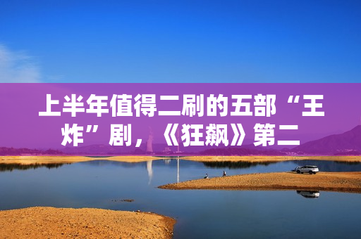 上半年值得二刷的五部“王炸”剧，《狂飙》第二