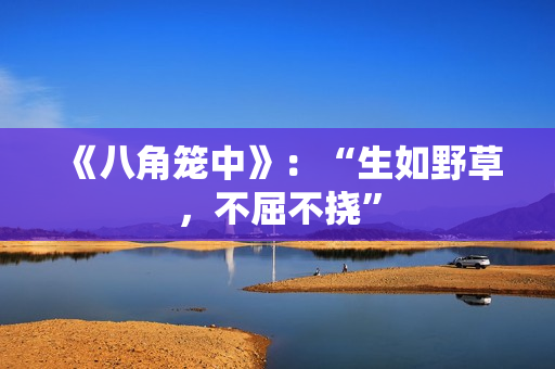 《八角笼中》：“生如野草，不屈不挠”
