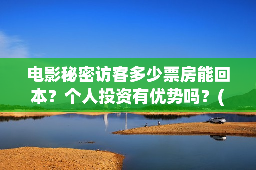 电影秘密访客多少票房能回本？个人投资有优势吗？(解读电影秘密访客)