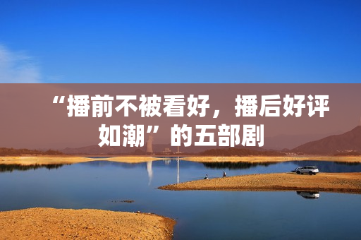 “播前不被看好,播后好评如潮”的五部剧 “播前不被看好,播后好评如潮”的五部剧