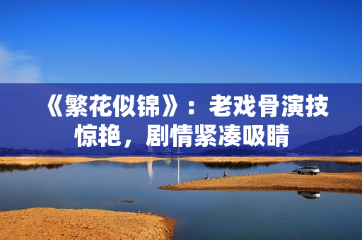 《繁花似锦》:老戏骨演技惊艳,剧情紧凑吸睛 《繁花似锦》:老戏骨演技惊艳,剧情紧凑吸睛