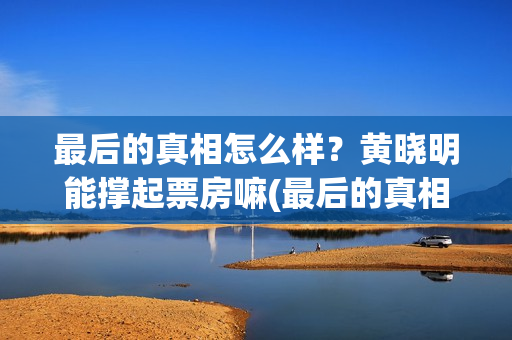 最后的真相怎么样？黄晓明能撑起票房嘛(最后的真相简介)