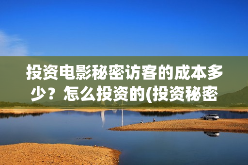 投资电影秘密访客的成本多少？怎么投资的(投资秘密访客)