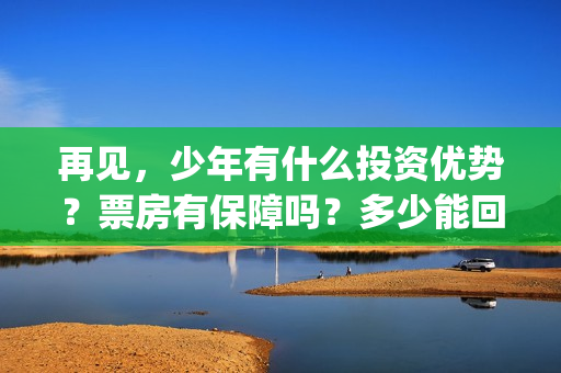 再见，少年有什么投资优势？票房有保障吗？多少能回本？(再见,少年语录)