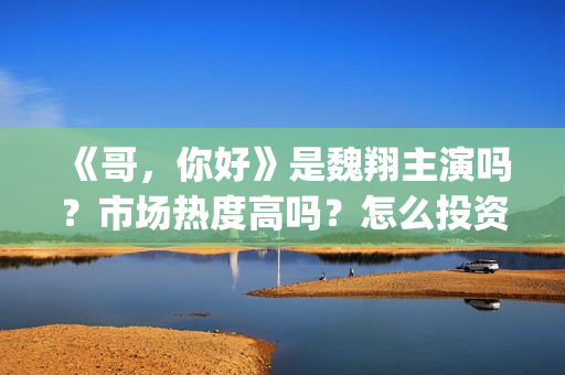 《哥，你好》是魏翔主演吗？市场热度高吗？怎么投资认购？分账快吗？(鹩哥你好mp3)