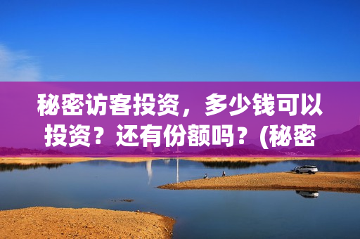 秘密访客投资，多少钱可以投资？还有份额吗？(秘密访客投资方有哪些)