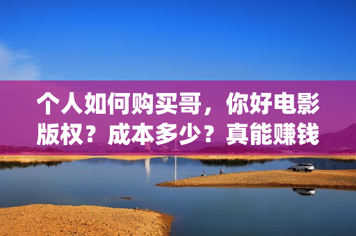 个人如何购买哥，你好电影版权？成本多少？真能赚钱吗？(个人如何买一家公司)