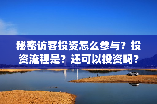 秘密访客投资怎么参与？投资流程是？还可以投资吗？(秘密访客投资门槛)