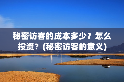 秘密访客的成本多少？怎么投资？(秘密访客的意义)