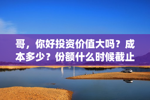 哥，你好投资价值大吗？成本多少？份额什么时候截止？(歌曲哥哥你好)