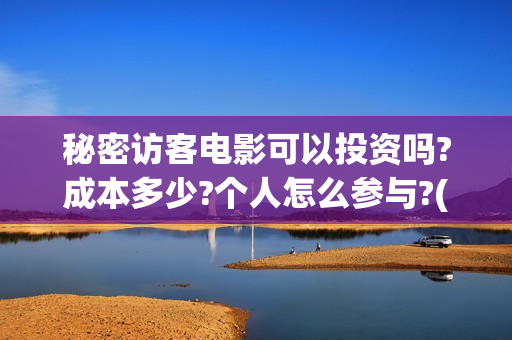 秘密访客电影可以投资吗?成本多少?个人怎么参与?(秘密访客电影啥意思)