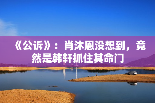 《公诉》：肖沐恩没想到，竟然是韩轩抓住其命门