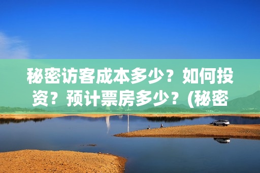 秘密访客成本多少？如何投资？预计票房多少？(秘密访客总投资多少)