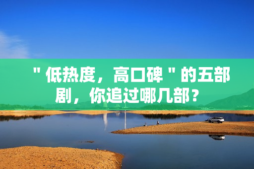 "低热度,高口碑"的五部剧,你追过哪几部? "低热度,高口碑"的五部剧,你追过哪几部?
