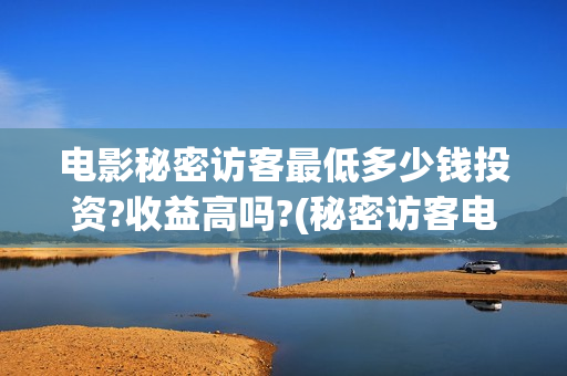 电影秘密访客最低多少钱投资?收益高吗?(秘密访客电影细节)