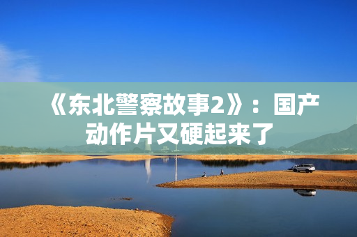 《东北警察故事2》：国产动作片又硬起来了