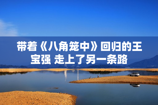 带着《八角笼中》回归的王宝强 走上了另一条路