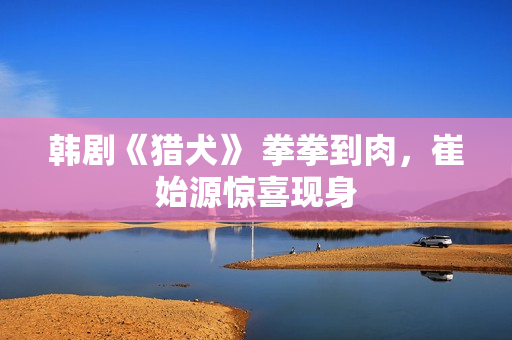 韩剧《猎犬》 拳拳到肉，崔始源惊喜现身