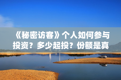 《秘密访客》个人如何参与投资？多少起投？份额是真实的吗？(秘密访客细节解说)