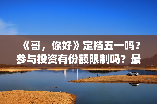 《哥，你好》定档五一吗？参与投资有份额限制吗？最低多少起投？(哥哥你好吗是什么歌)