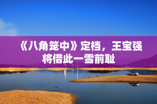 《八角笼中》定档，王宝强将借此一雪前耻